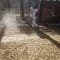 Уничтожение клещей на участке в Можайске